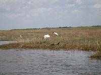 IMG_6831