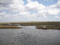IMG_6832