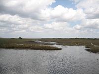 IMG_6837