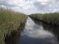 IMG_6842