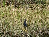 IMG_6843