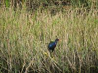 IMG_6844
