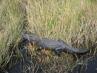 IMG_6854