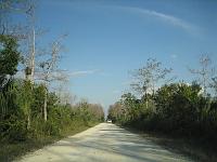 IMG_6935