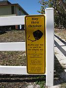 IMG_3945