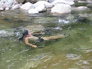  Water Sliding