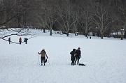  Cross contry skier in CP 01-27-2015