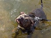  Somebody is very happy :)
