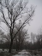 IMG_6603
