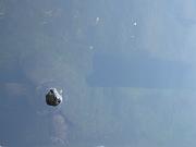  Giant Turtle