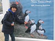  Puffin (out of season)
