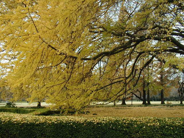 PB290108