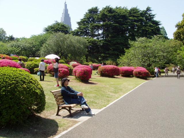 P5040036