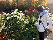  Rose Garden
