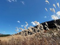  Sengokubara - The silver grass is beautiful