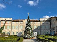  Nice Christmas tree at the Little Prince Museum 