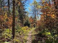  Monongahela National Forrest