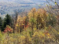  Cranberry Glades Overlook  Trail
Monongahela National Forrest